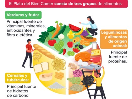 ¿Cómo Debe Ser El Plato Del Buen Comer Para Niñas Y Niños? | Colegio Sn ...