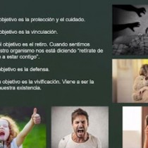 La Inteligencia Emocional en Colegio Sn. Ángel