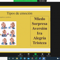 Webinar: ¿Cómo influyen las emociones en el desarrollo de mi hijo de preescolar? 