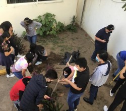 Descubre Jardín de la Salud en CSA Coatzacoalcos Descubre Jardín de la Salud en CSA Coatzacoalcos