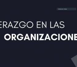 Webinar - Liderazgo en los negocios Webinar - Liderazgo en los negocios