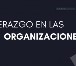 Webinar - Liderazgo en los negocios 